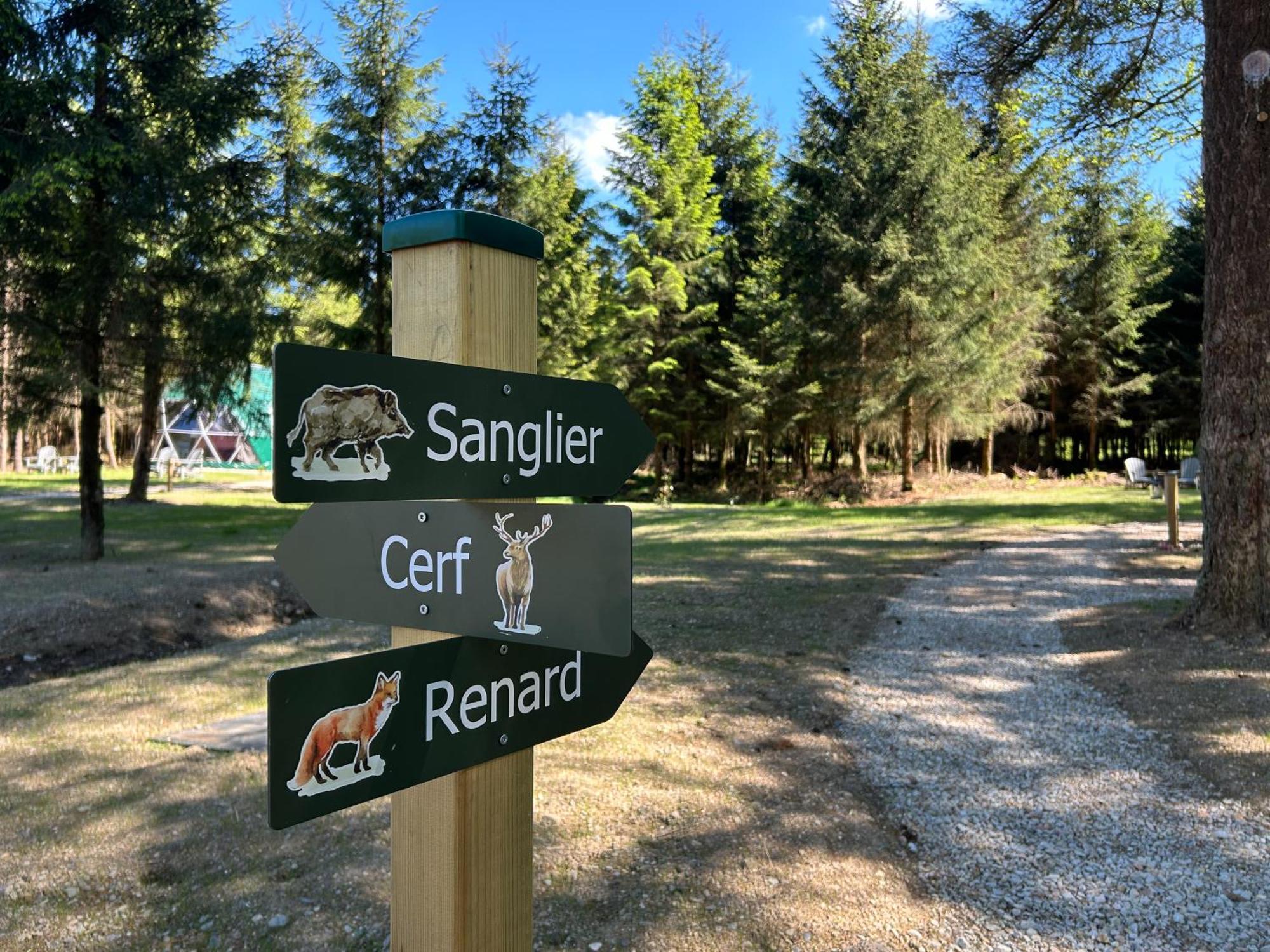 Campo de lujo High Moor Glamping